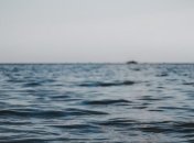 Развитие инфраструктуры: Зеленский ожидает участия США в разработке шельфа Черного моря