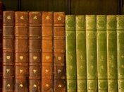 Писатели собирают книги для подростковых колоний