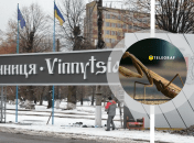 Богомол у Вінниці