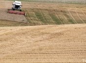 Украина предлагает строить зернохранилища на Ближнем Востоке