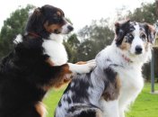 Забавные кадры, которые были сделаны в самый подходящий момент