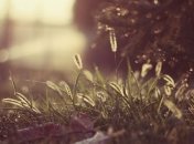 Погода на сегодня: Солнечно будет на западе и юге Украины