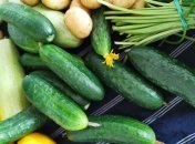 Огірків буде повно цього року