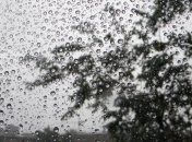 Погода в Украине на 27 декабря: в некоторых регионах - мокрый снег