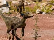 Что-то типа крокодила: кто терроризировал динозавров-вегетарианцев 210 млн лет назад