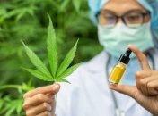 Производство и использование каннабиса в медицинских целях позволят в Украине