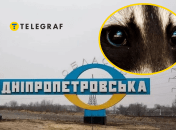 Колаж "Телеграфу"