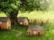 Минрегион запретил садить деревья под окнами соседей