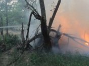 У Чорнобильській зоні і Житомирській області є окремі осередки тління