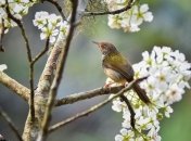 Какой праздник 5 апреля: народные приметы и запреты