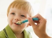 Ягодный прикорм для малыша: важные нюансы