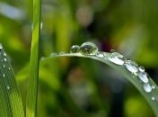 25 июля - праздник, что категорически запрещено делать, главные приметы