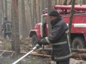 Пожары на Житомирщине: Кабмин выделил 25 млн на ликвидацию