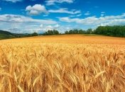 Прогноз погоды на 17 июля: в Украине снова потеплеет до +27