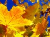 Прогноз погоды на 1 октября: по всей территори без осадков