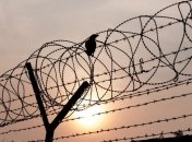 В Харькове судят мужчину, изнасиловавшего 12-летнюю девочку ее бабушку и убившего двух кошек