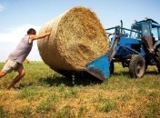 В Україні з'явиться День фермера 19 червня - проект указу президента