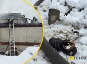 Коллаж "Телеграфа"