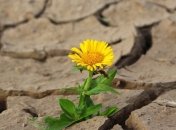 Проблемы с водой в Крыму: оккупанты продолжают бурить скважины 
