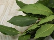 Рецепты народной медицины против псориаза