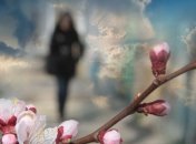 Вербное воскресенье будет холодным: синоптик дала прогноз на 25 апреля