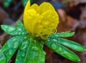 В Україні на святкові вихідні прогнозують грози та до 18° тепла