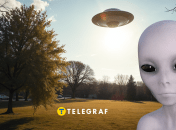 Коллаж "Телеграфа"