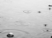 Прогноз погоды на 19 июля в Украине: ожидаются дожди с грозами