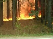 В Херсонской области выгорело почти 5 га лесной подстилки