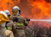 Жертв лесных пожаров в Португалии все больше