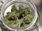 Сестру братьев Царнаевых обвиняют в хранении марихуаны