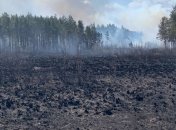 Глава Житомирской ОГА: Сил и средств вполне достаточно для того, чтобы потушить пожары