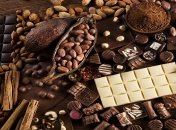 Человечество может остаться без шоколада: озвучены сроки