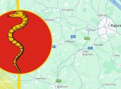 Иллюстративное фото