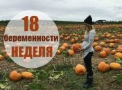 Как выглядит живот на 18 неделе беременности: 12 фото из Инстаграма