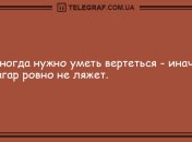 Позитивный денек: уморительные анекдоты на утро 27 августа