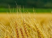 Готовьтесь к температурным качелям: чего ждать от погоды в Украине в ближайшие дни