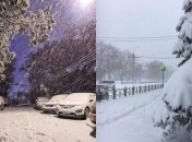 Крым "тонет" в снегу, техника не справляется: в четырех регионах полуострова ввели режим ЧС (фото, видео)