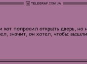 Юмор на любой вкус: смешная подборка анекдотов