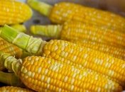 Сладкая кукурузка: кому категорически нельзя ее есть