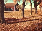 Погода в Украине на сегодня: в стране похолодает 