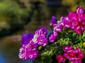 Приметы и обряды на 20 июня - Федотов день