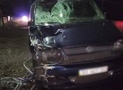 В ДТП в Хмельницкой области погибли двое велосипедистов
