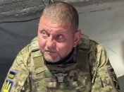 Валерий Залужный