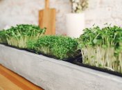 Влаштуйте міні-версію городу