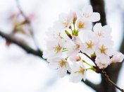 Яке свято 5 травня: народні прикмети і заборони