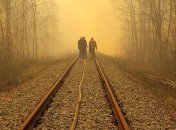 Пожары в Украине: В Киевской области горят 20 гектаров травы и камыша, огонь уничтожил два дома