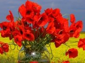 День Победы над нацизмом 2016: поздравления с 9 мая ветеранам в стихах