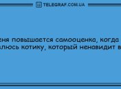 Яркое начало дня: утренние анекдоты 30 августа