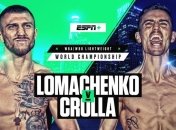 Ломаченко - Кролла: статистика ударов